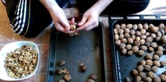 Господині назвали 3 прості способи, які допоможуть швидко очистити горіхи