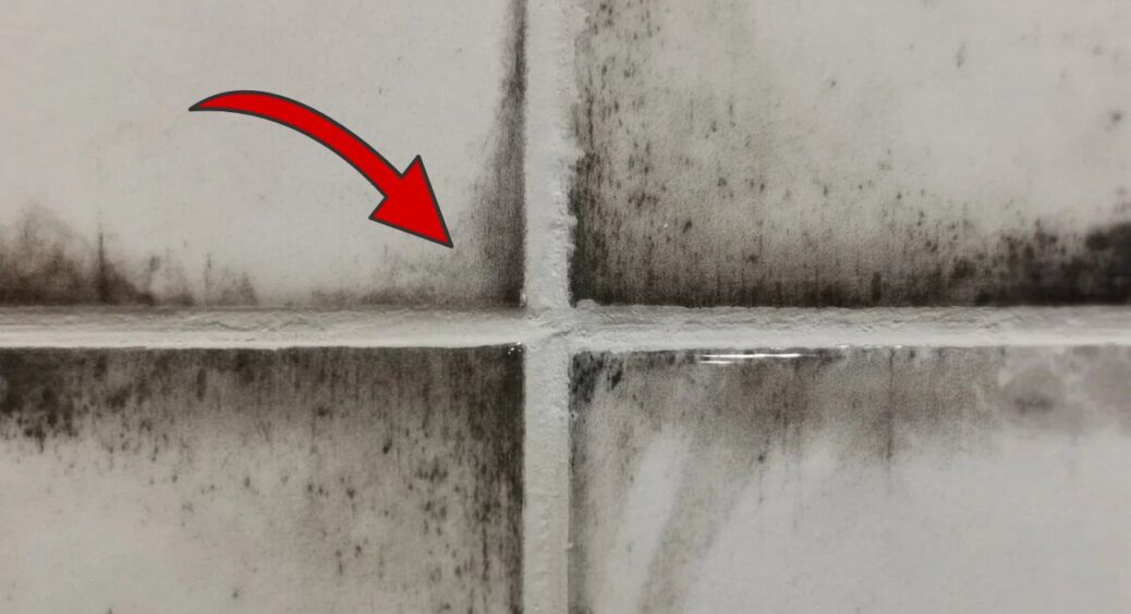 Не витрачаю 1000 грн на “інструмент”, колочу засіб з 2-х компонентів – і плісняви вдома, як не було: порада 