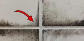 Як позбутись від плісняви в домашніх умовах