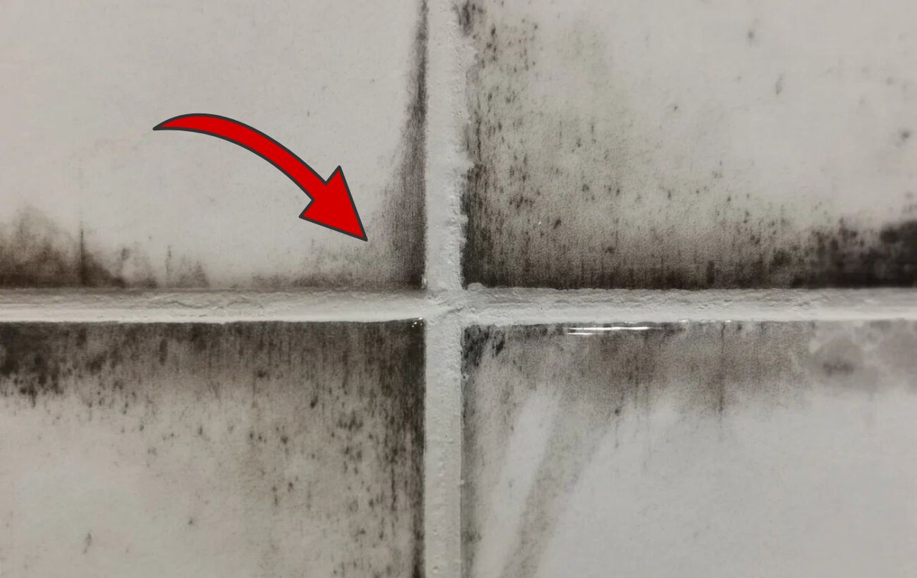 Як позбутись від плісняви в домашніх умовах