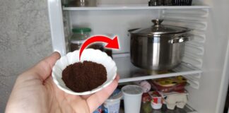 Господині розповіли, який засіб швидко усуне неприємний запах у холодильнику