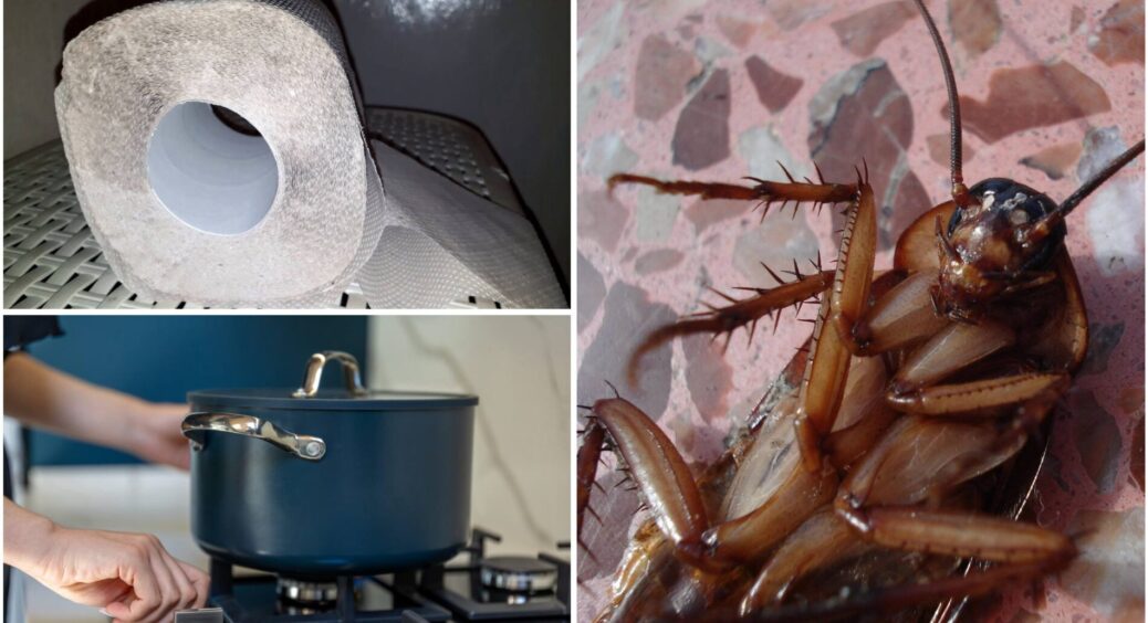 Туалетний папір – у каструлю, землю – під раковину: цей “смаколик” оцінять усі ваші сусіди. Ефект на 10 з 10 