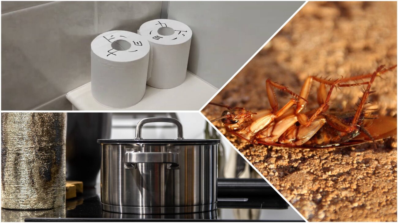 Господині розповіли, як приготувати ефективну отруту від тарганів