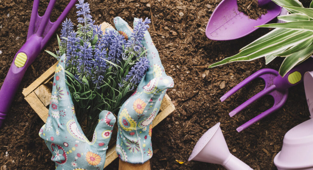 Кума-садівниця назвала 10 квіточок, які варто посіяти у мерзлу землю – інструкція, як правильно це зробити 