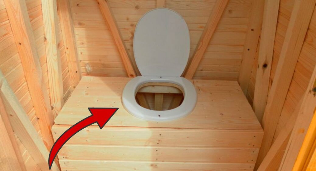Закинула 10 листочків у септик – і вуличний туалет пахне квітами: працює на 100% – перевірено поколіннями 