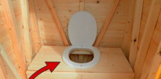 Як позбутись від смороду у вуличному туалеті