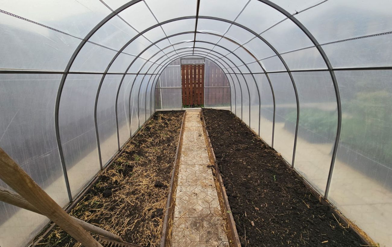 Як доглядати за теплицею в осінній період