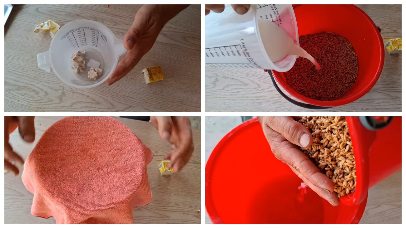 Експерти розповіли про використання дріжджів у підгодівлі курей