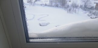 Господині назвали цікавий спосіб від конденсату на вікнах 