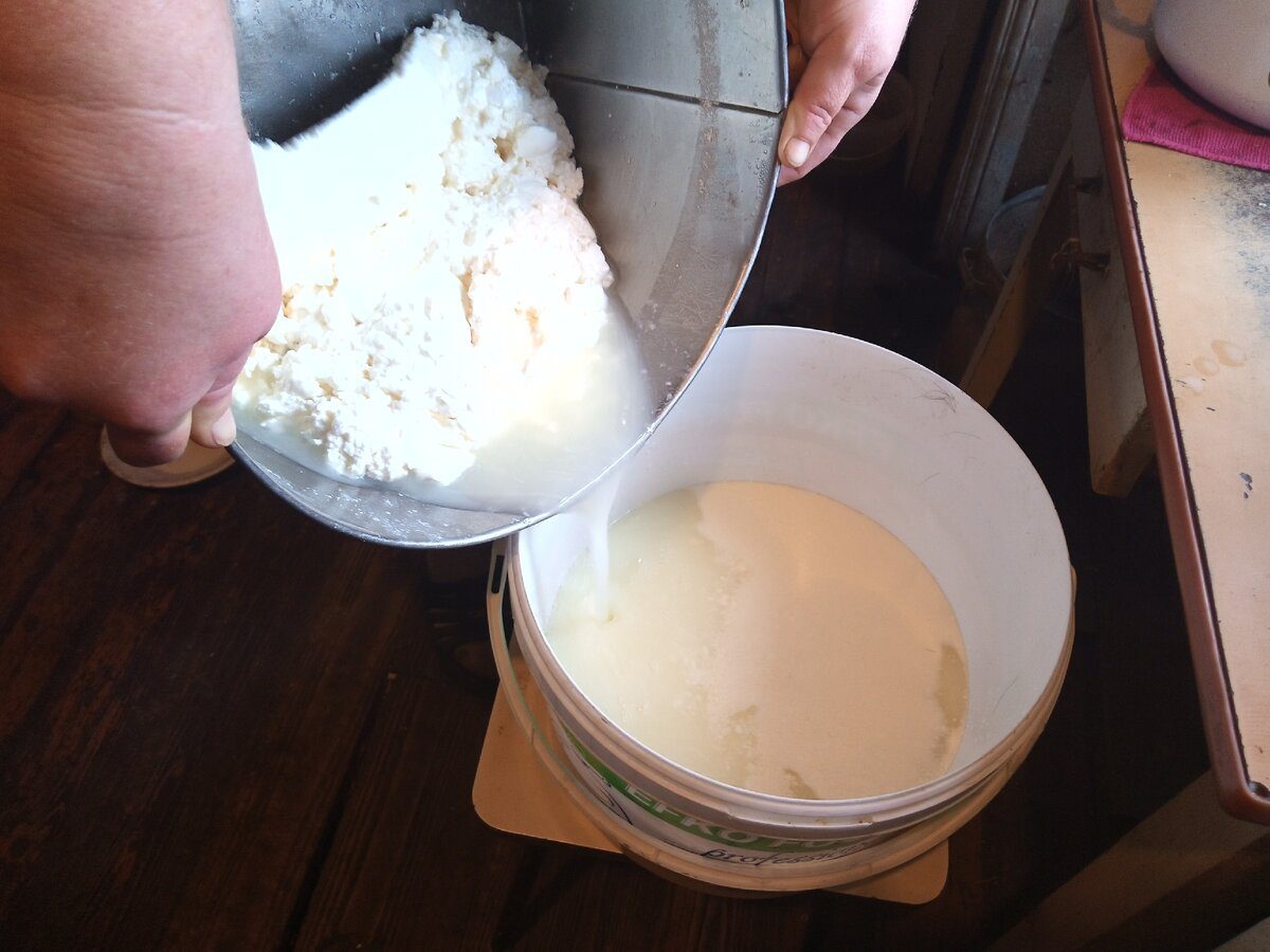 Кулінари розповіли, як приготувати домашній сир зі звичайної сметани – просто й корисно