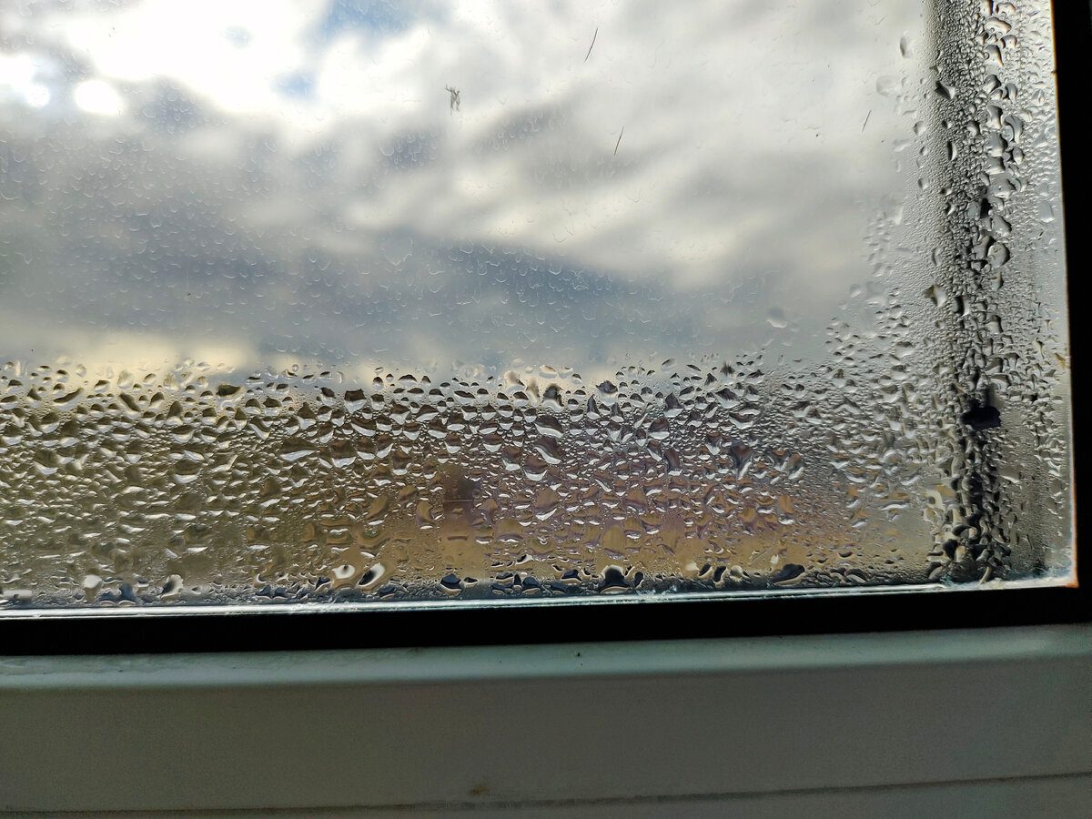 Господині розповіли, навіщо ставити сіль на підвіконня у дощову погоду