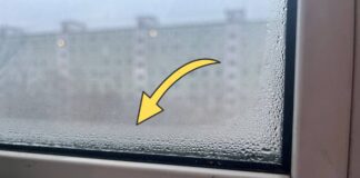 Як позбутись від конденсату на вікнах