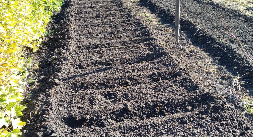 Сусід-агроном детально “розклав” по поличках, що зробити з грядками до 1.12 – у 2026 врожай буде рекордним 