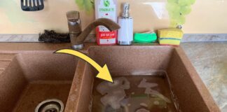 Як очистити кухню від неприємного аромату