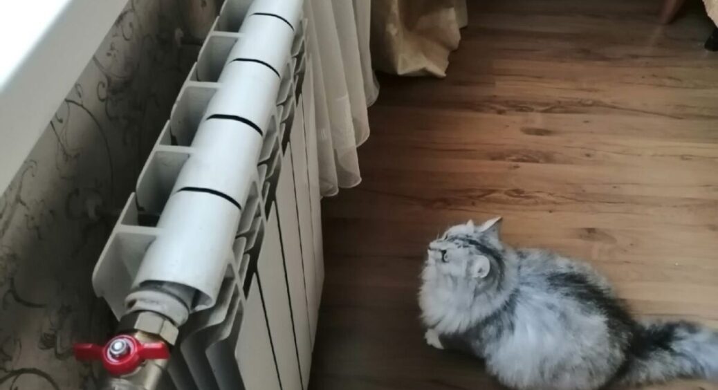 Щоб батареї гріли у 3 рази краще, кладу туди 1 штучку: піднімає температуру в кімнаті на 2 градуси за 20 хв 