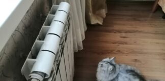 Експерти пояснили, як збільшити тепло у квартирі 