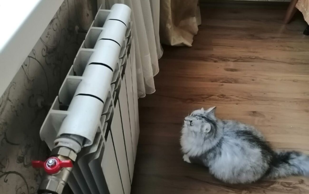 Експерти пояснили, як збільшити тепло у квартирі 