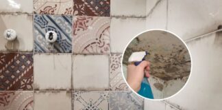 Як позбутись від плісняви вдома просто та швидко