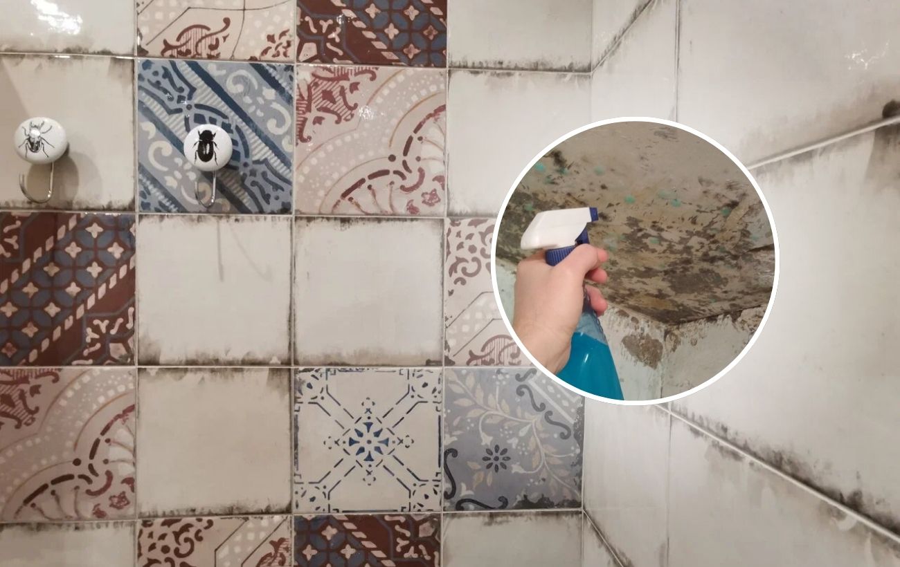 Як позбутись від плісняви вдома просто та швидко