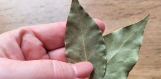 Як очистити повітря у вітальні