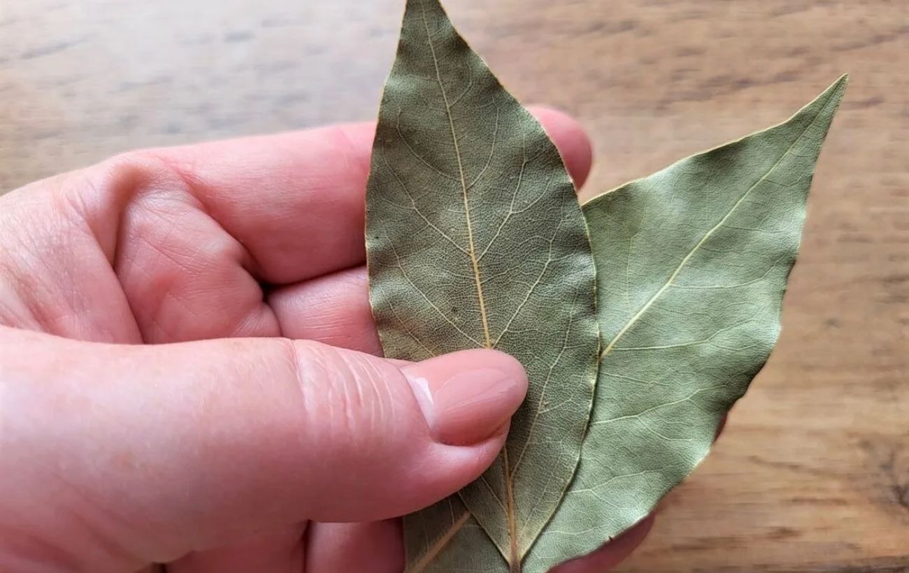 Як очистити повітря у вітальні