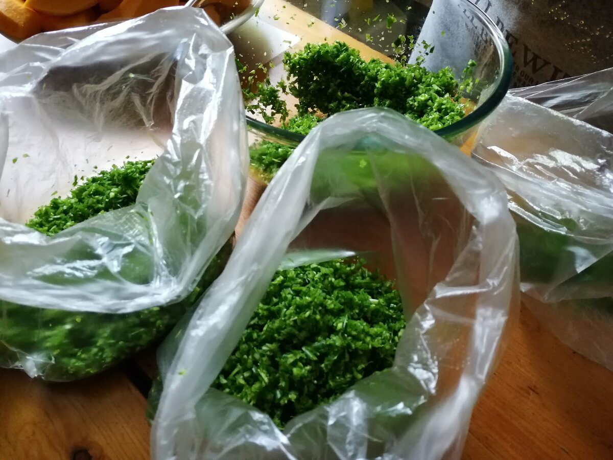 Господині пояснили, як правильно заморожувати зелень на зиму для збереження смаку