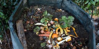 Експерти розповіли, як прискорити перепрівання компосту