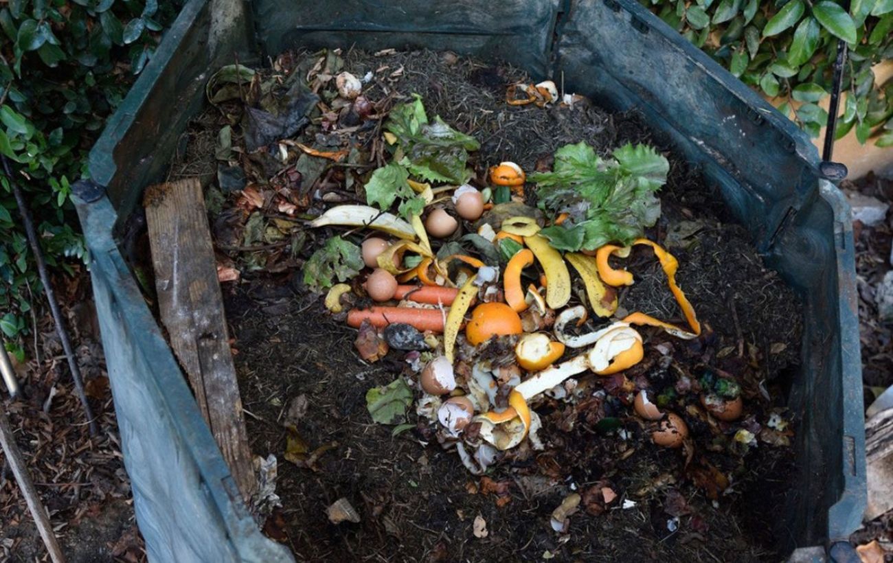 Городники розповіли, як пришвидшити дозрівання компосту Городники розповіли, як пришвидшити дозрівання компосту