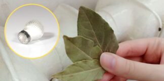 Як позбутись від запаху плісняви