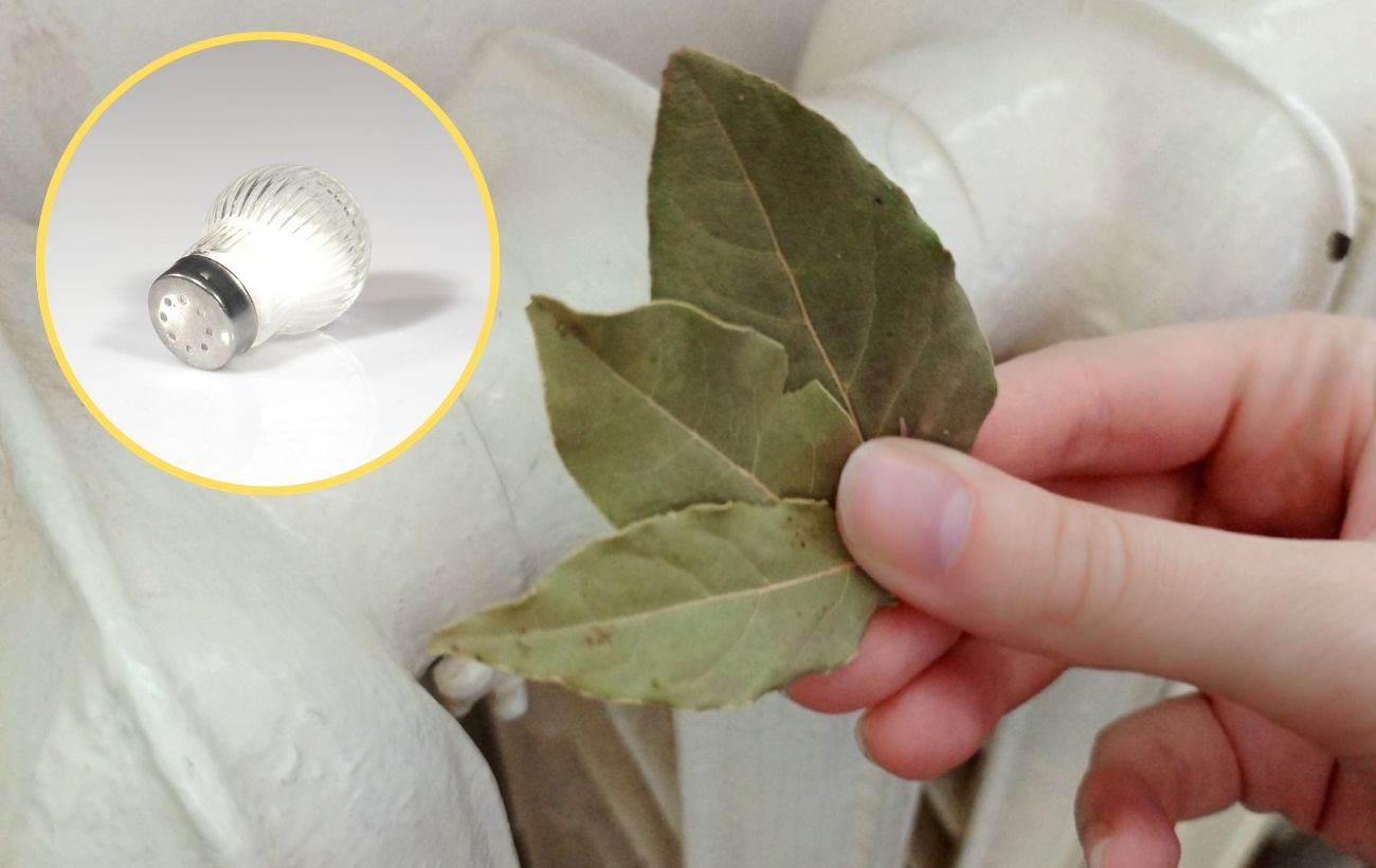 Як позбутись від запаху плісняви