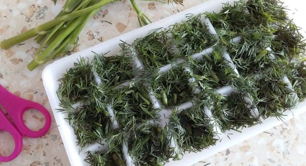 Заморожую зелень тільки методом “3 кроки”: підказала свекруха, тепер ми з подругами лише так і робимо! 