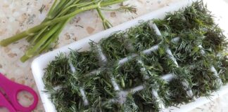 Кулінари сказали, для чого заморожувати хвостики від зелені 