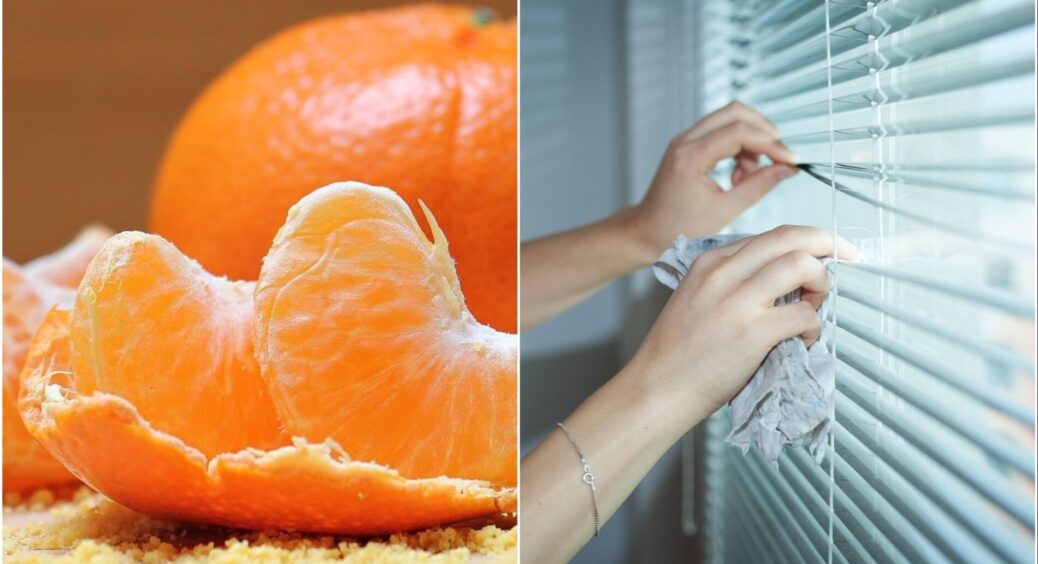 Шкірку мандаринів заливаю оцтом – і всю зиму тішуся: бабусин рецепт для прибирання за “3 копійки” 