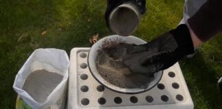 Агрономи пояснили, як підживлювати грядки попелом, щоб не нашкодити ґрунту