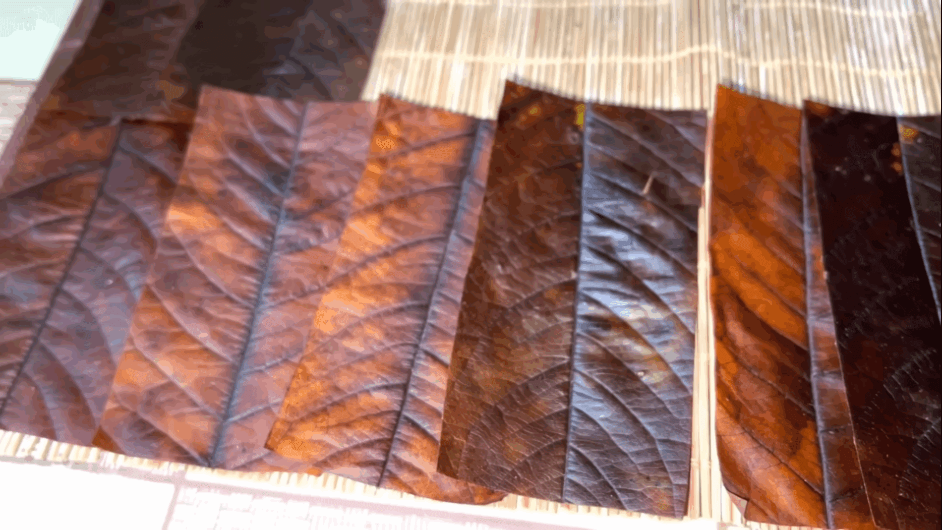 Експерти розповіли, як використати опале листя для творчості  