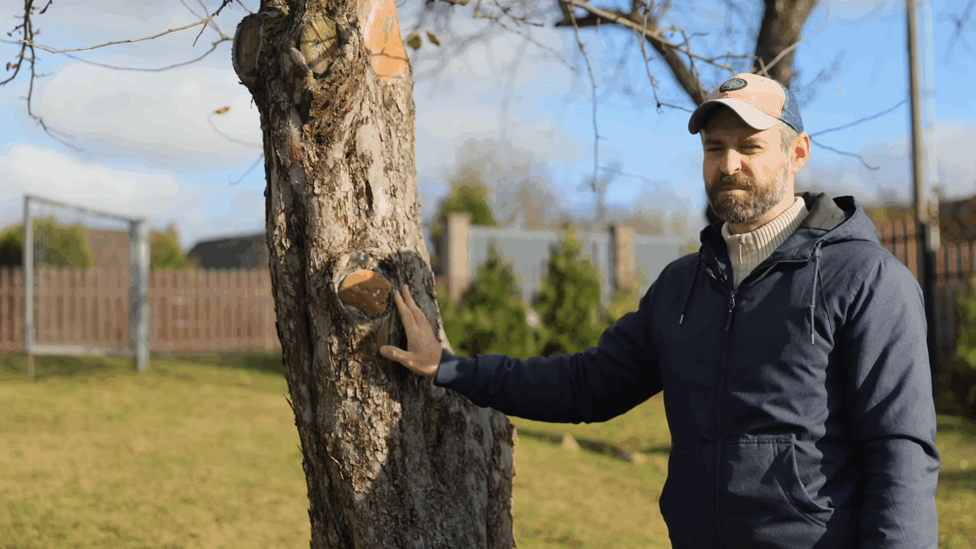 Експерти розповіли про найнебезпечніші гриби у саду