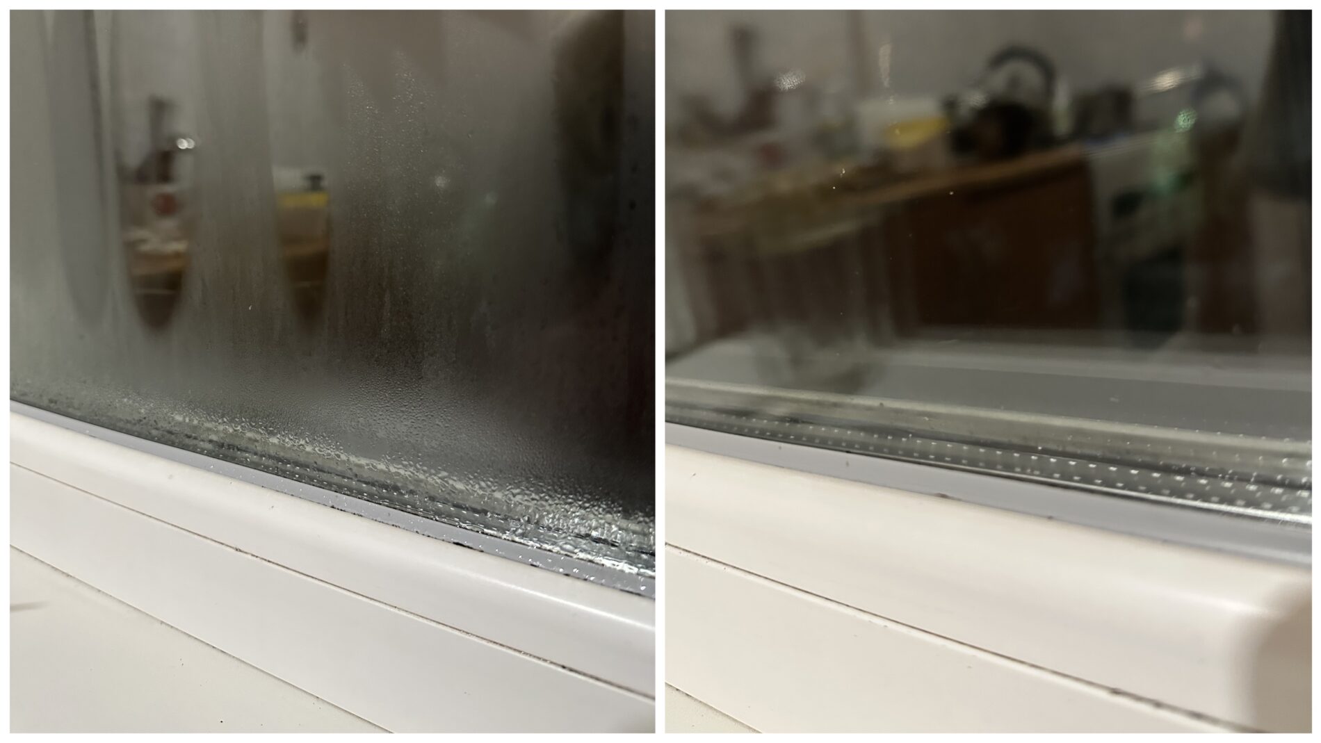 Господині розповіли, як захистити вікна від плісняви та вологості