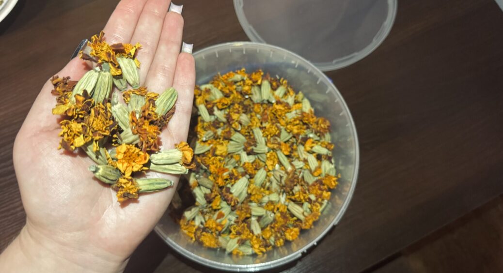 Все літо сушила чорнобривці — і не дарма: роблю “це” 3 рази на день, і в аптеку перестала ходити зовсім 