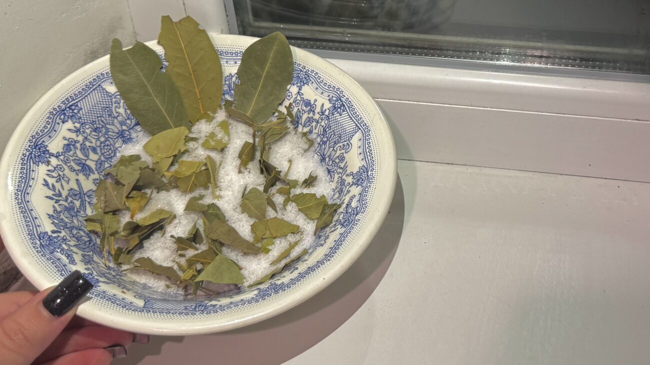 Господині розповіли, навіщо ставити лавровий лист з сіллю у кутки 