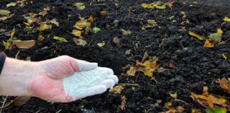 Городники розповіли, чим удобрити город у листопаді, щоб земля була родючою