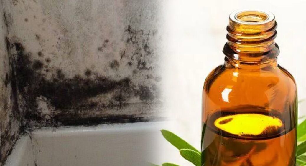 Тільки бачу вдома цвіль, 50 грамів + 5 крапель у воду — терміново: ніякий хлор і спреї мені більше не треба 