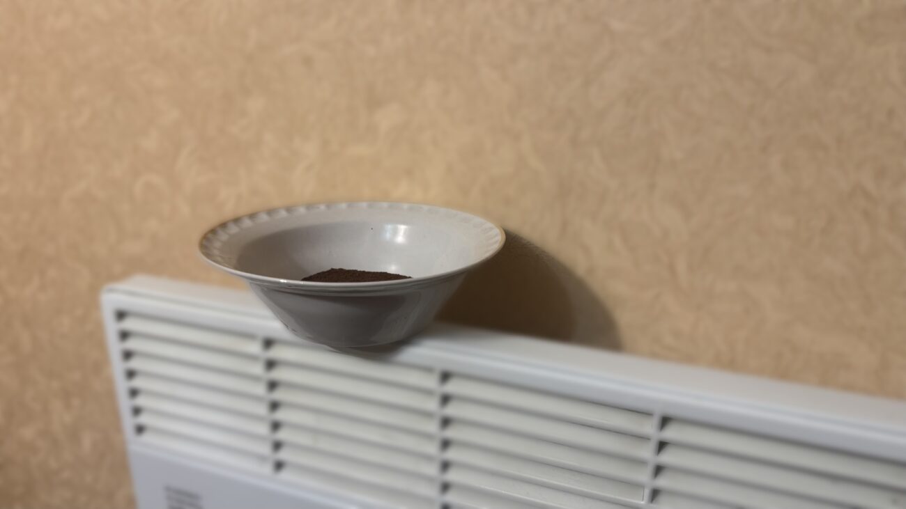 Господині розповіли, як приготувати бюджетний та стійкий ароматизатор для дому 