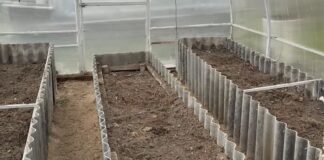Городники розповіли, що внести у ґрунт у теплиці в листопаді
