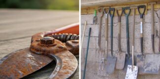 Городники розповіли, як захистити садові інструменти від іржі  