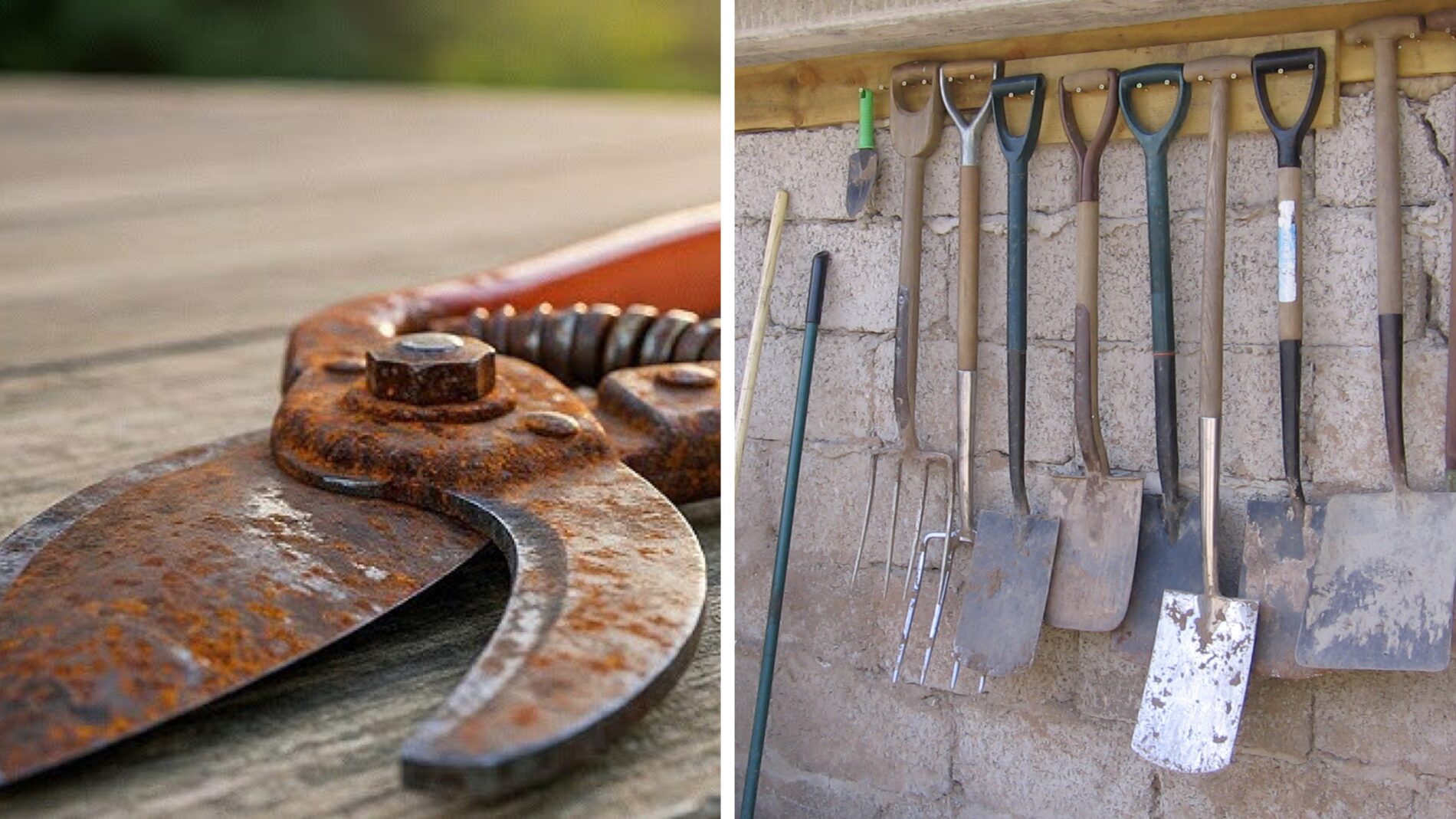 Городники розповіли, як захистити садові інструменти від іржі  