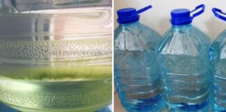 Господині розповіли, що додати у баклажку, щоб вода не зеленішала 
