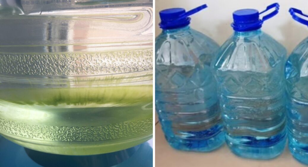 99% людей не знають про це! Коли роблю запас води, кидаю в баклажку 1 штучку — щоб вода не “зеленішала” 