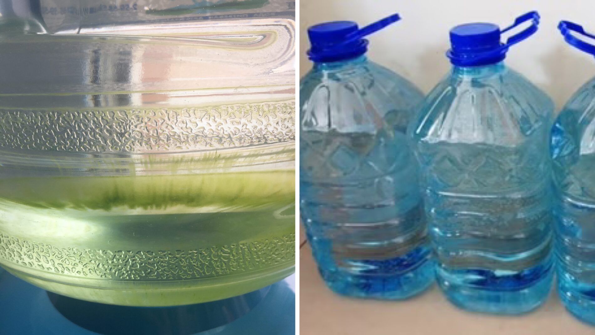 Господині розповіли, що додати у баклажку, щоб вода не зеленішала 