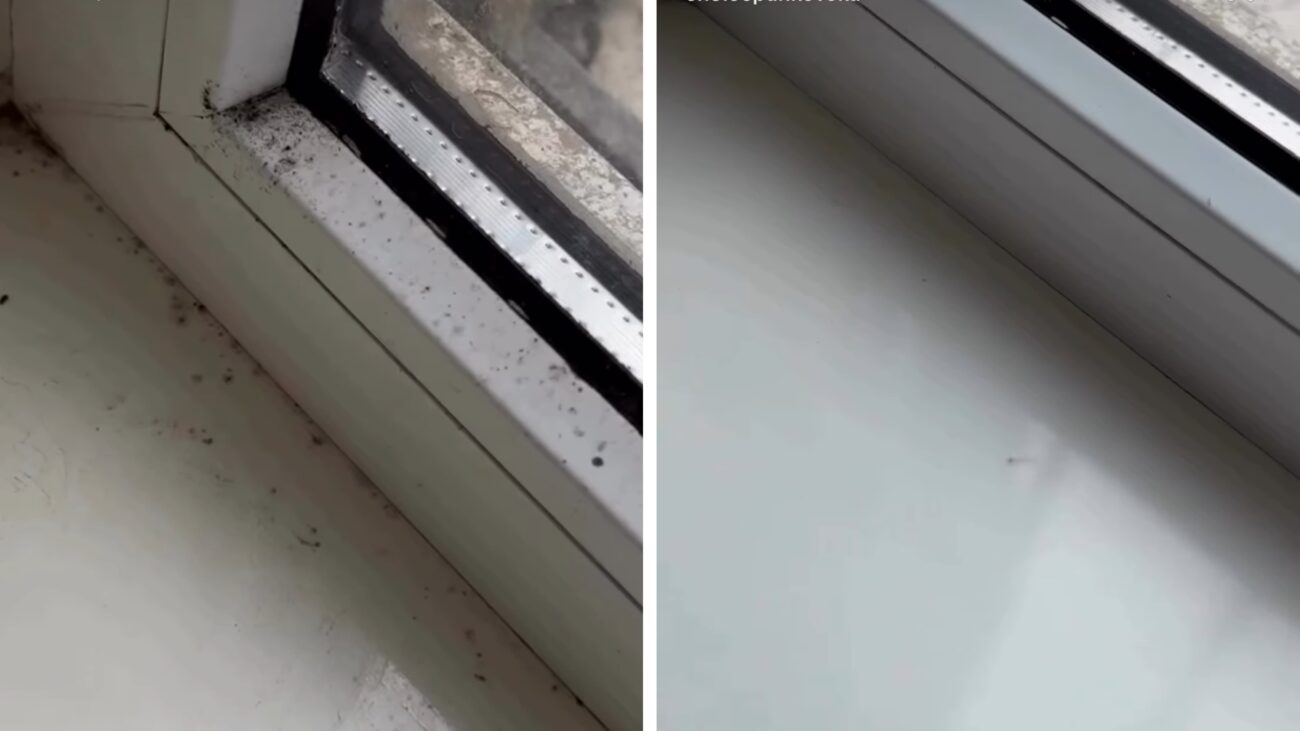 Господині розповіли, як зробити ефективний розчин від плісняви