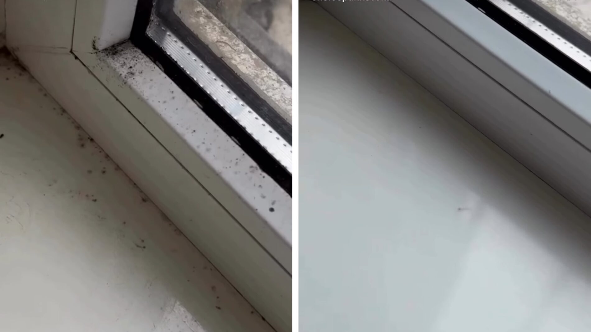 Господині розповіли, як зробити ефективний розчин від плісняви